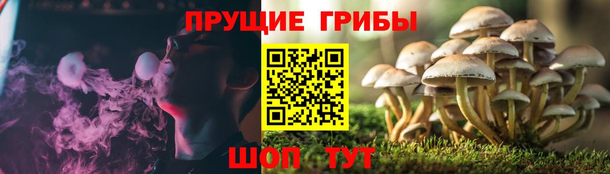 Коммунар  Псилоцибиновые грибы Magic Shrooms  Вход с VPN 